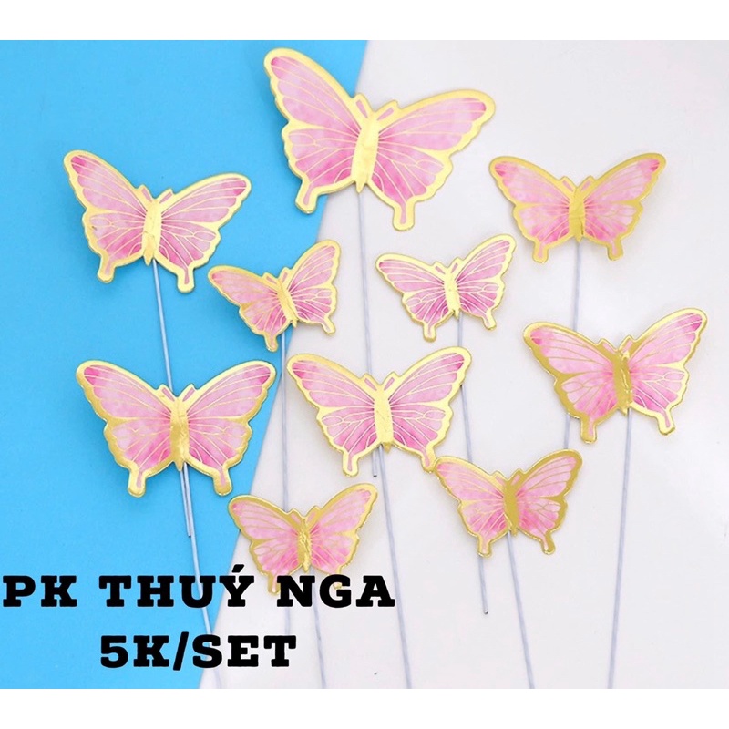 5 set cắm 10 bướm giấy mới