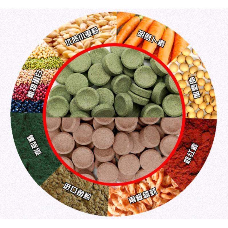 Thức Ăn Dán Cao Cấp Spirulina Patch Fish Food - Viên Rau Bổ Sung Chất Sơ Giúp Cá Khoẻ Hơn