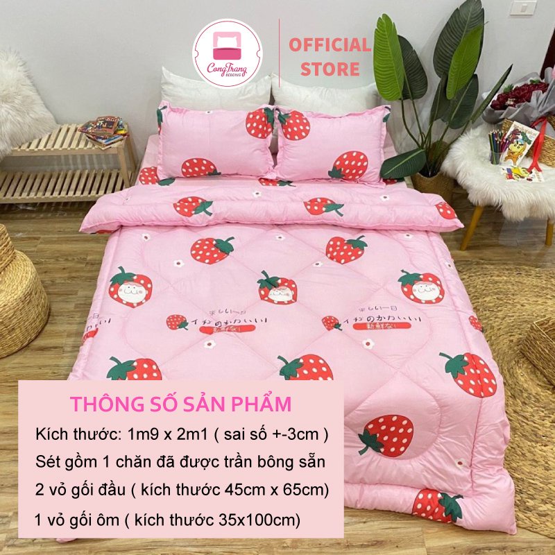 Bộ 5 món Chăn Phao Trần Bông Kèm Ga chun và 2 vỏ Gối Poly Trần Bông Siêu Ấm( M6 / M8 )