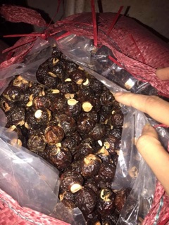 Nước rửa bát Enzym Bồ Hòn 500ml