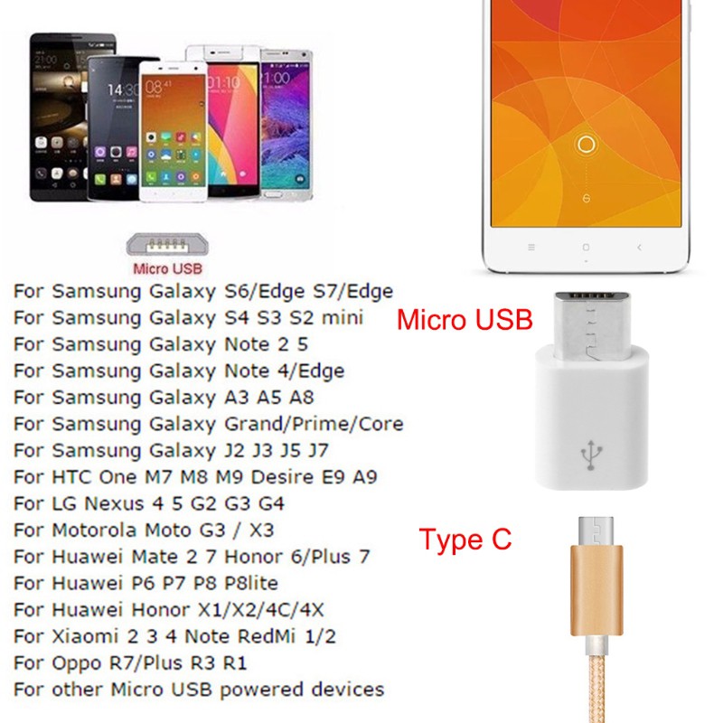 Đầu Chuyển Đổi Từ Usb 3.1 Type C Sang Micro Usb