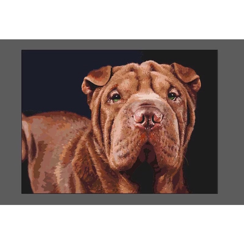 Feedback tranh số hoá theo yêu cầu size 30x40 cm có khung ngoài