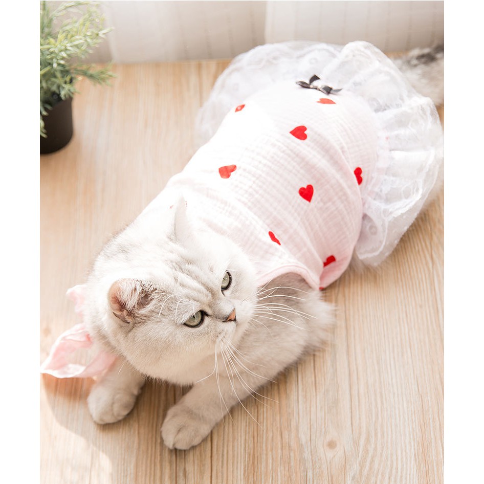 áo đầm ren xòe trái tim dành cho chó mèo