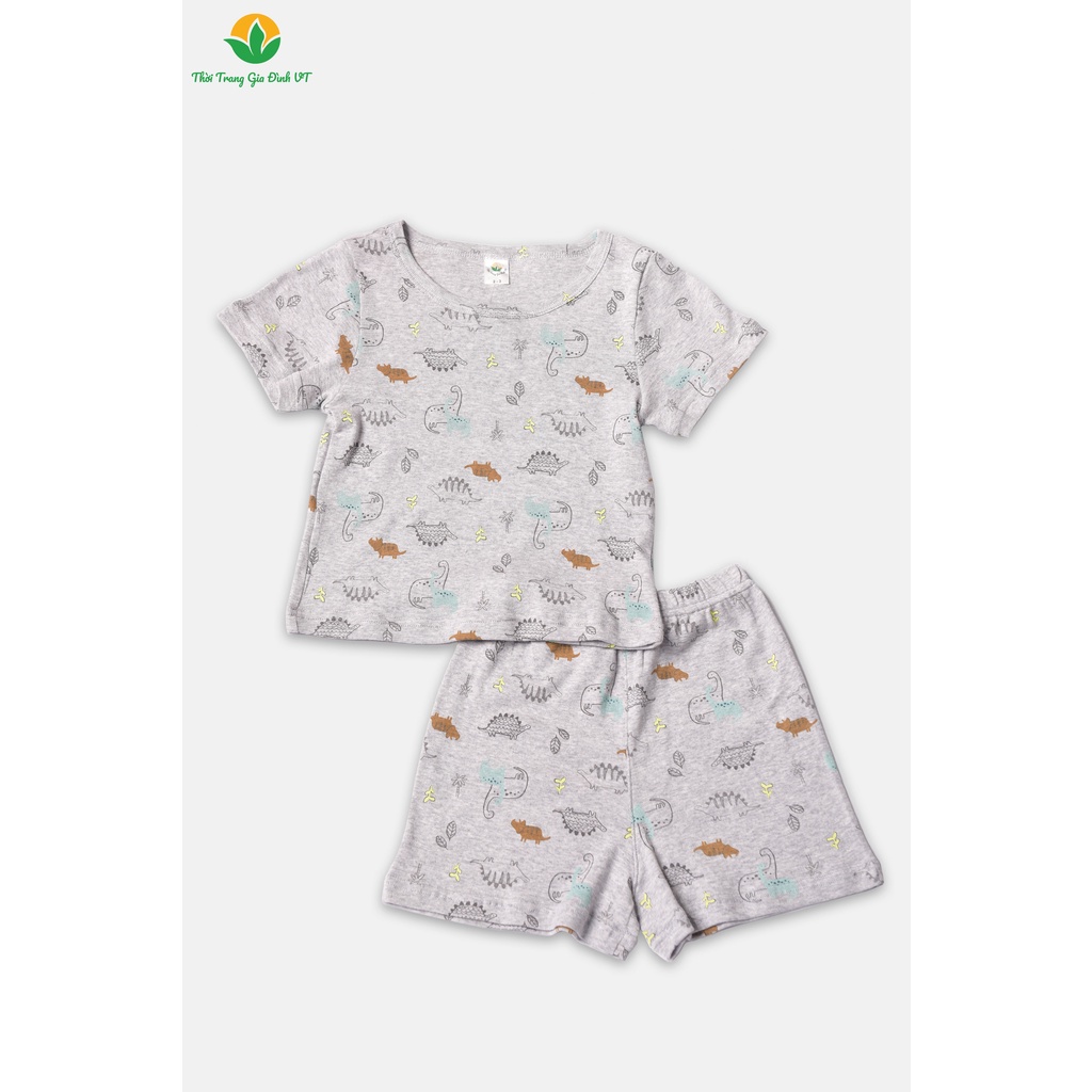 Bộ quần áo bé trai mùa hè Việt Thắng, quần đùi, áo cộc tay, chất cotton - B63.2222