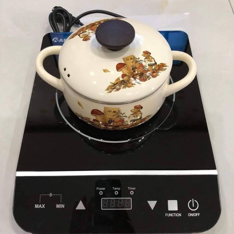 BẾP TỪ ĐƠN #RAPIDO RI2000ES