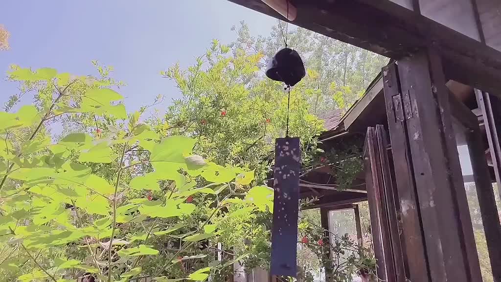 Genshin Impact Kamisato Ayaka Cosplay Kimono Game Costume Woman and Man Kendo Clothing Princess Ggret Wig Headgear | BigBuy360 - bigbuy360.vn