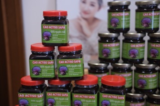 Mask nghệ cao actiso