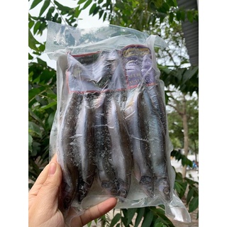 Cá Trứng Nauy