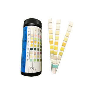 Combo DAS Diet/Lowcarb - Que thử ketone (que keto), đường splenda
