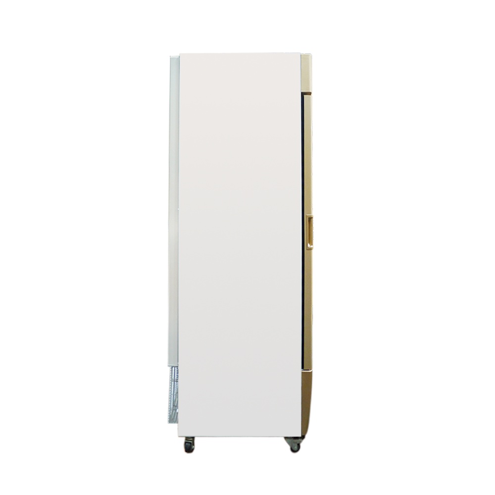[MIỄN PHÍ GIAO LẮP] IF-350G - Tủ đông đứng 1 cánh Alaska 350 lít IF-350G