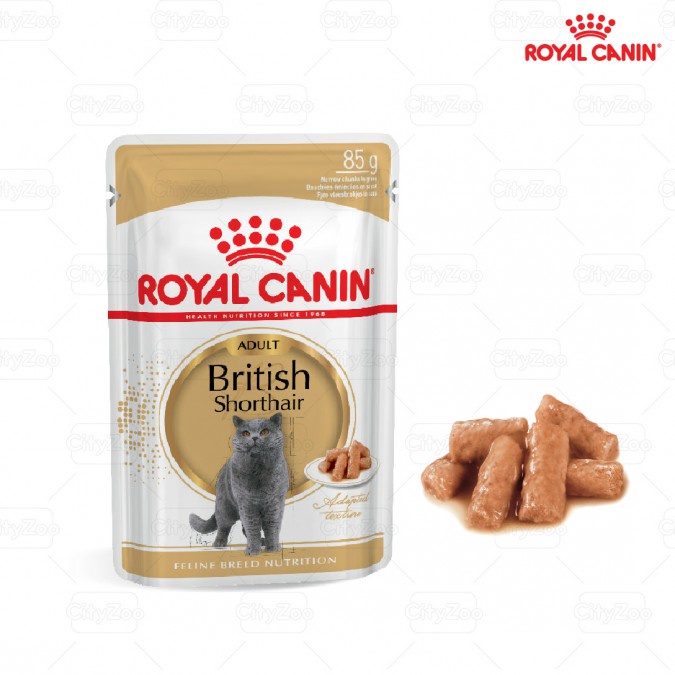 Pate British Shorthair Wet ROYAL CANIN cho mèo Anh lông ngắn trưởng thành