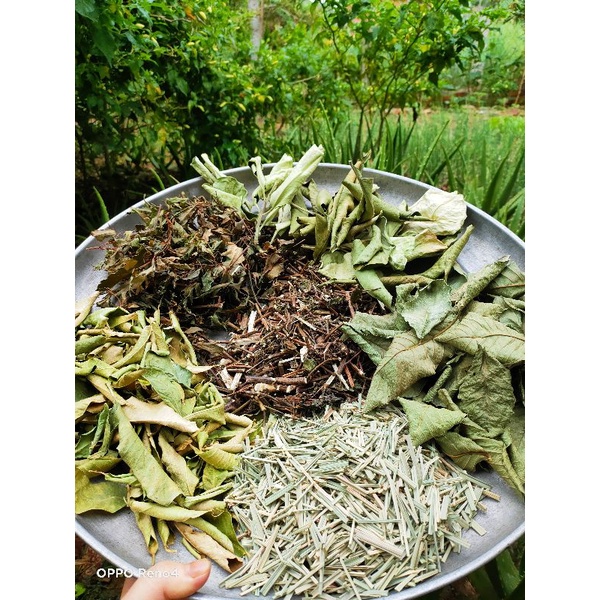 Lá xông giải cảm thiên nhiên không thuốc nhà làm. | BigBuy360 - bigbuy360.vn