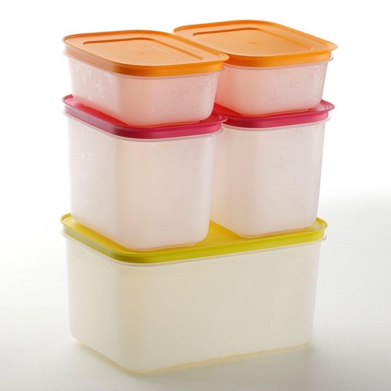 Bộ Hộp Trữ Đông cao cấp Freezermate Gen II (5) đông dẻo tupperware