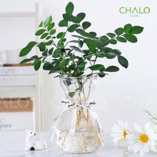 [ GIÁ HUỶ DIỆT] Xả lỗ bình hoa sinh tố ly loe