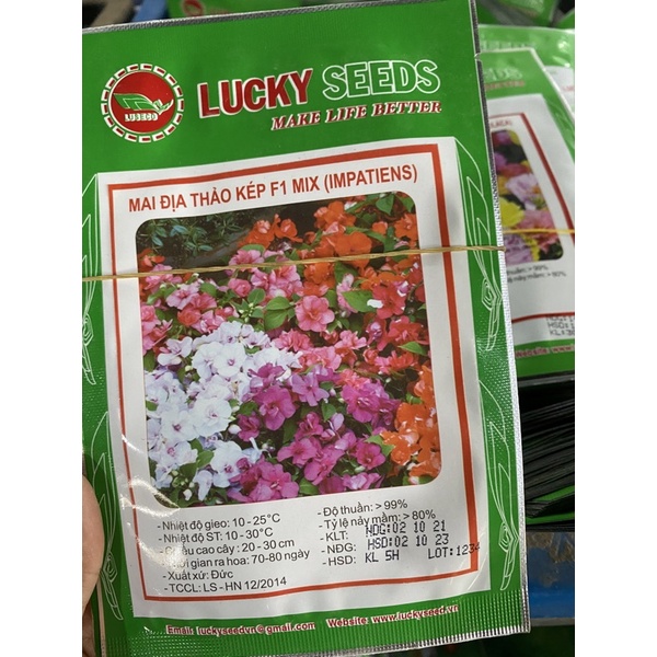 Hạt giống Mai Địa Thảo F1 mix màu