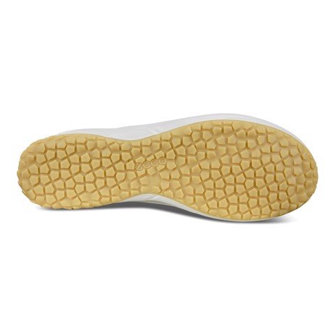 Giày Sneakers, Giày Thể Thao Nữ ECCO BIOM LIFE 880313-01007