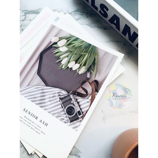 Postcard chụp hình sản phẩm