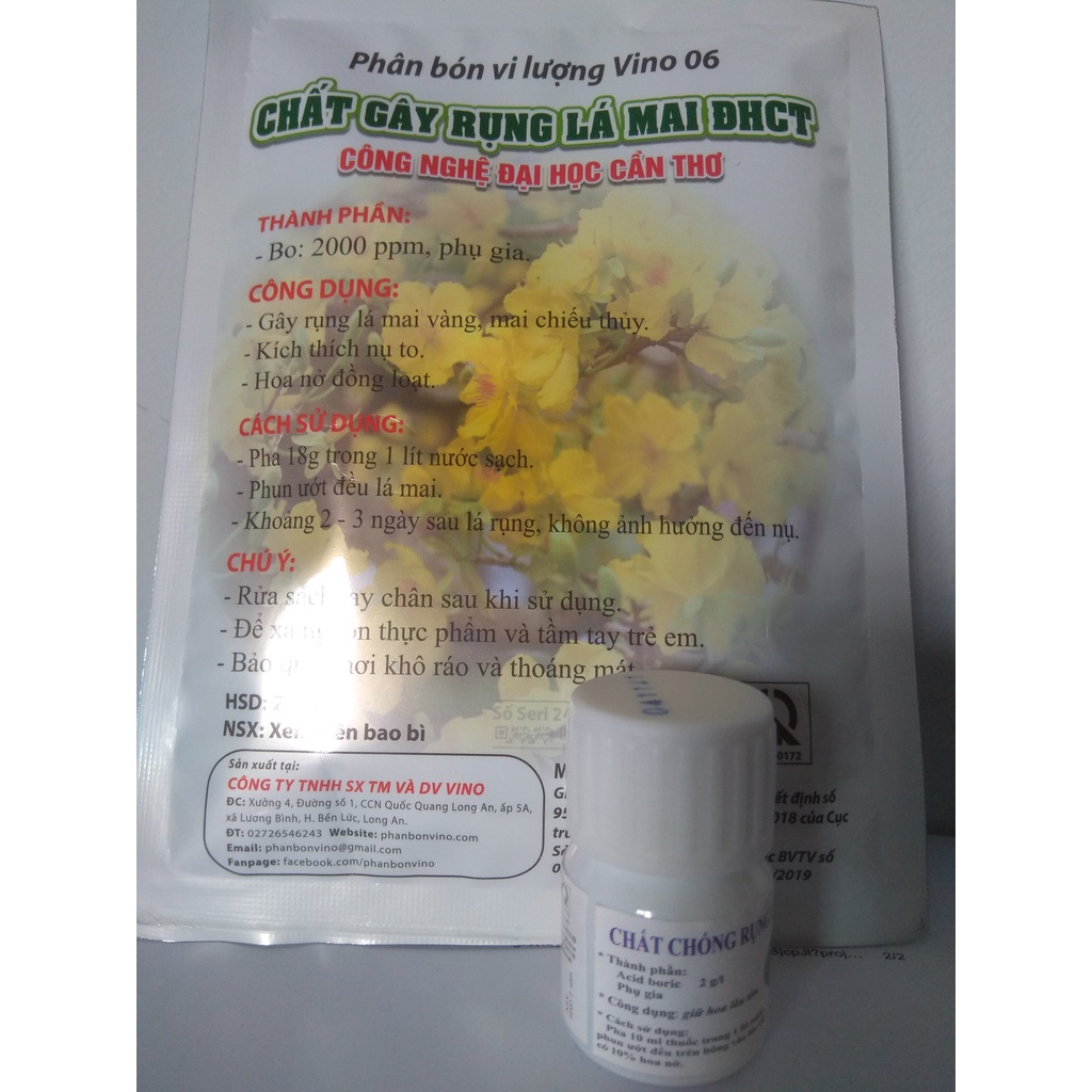 Combo dành cho hoa mai chơi tết   ĐHCT