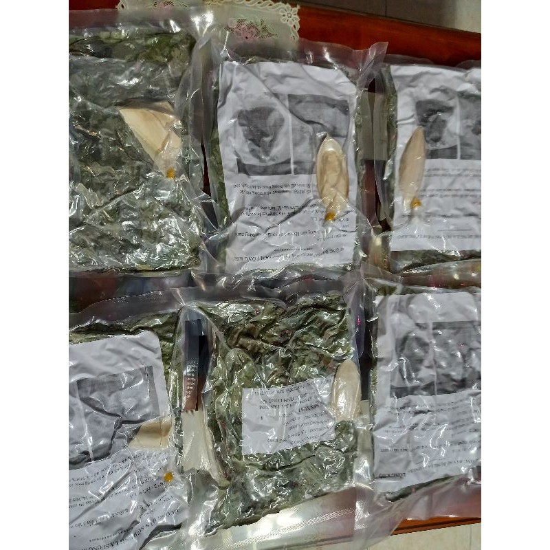 Lá sương sâm lông khô , 100g , có tặng nang mực, gói hút chân không