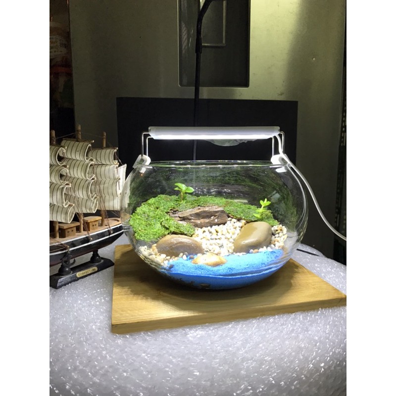 BỂ CÁ TRÒN ĐỂ BÀN - GỒM TOÀN BỘ THIẾT KẾ NHƯ HÌNH