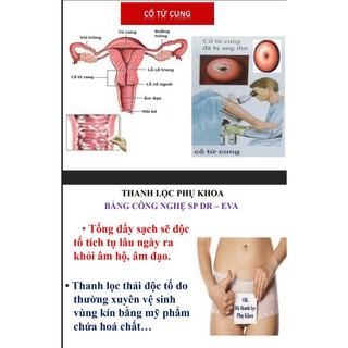 Thiết bị vệ sinh Phụ Khoa DR-EVA
