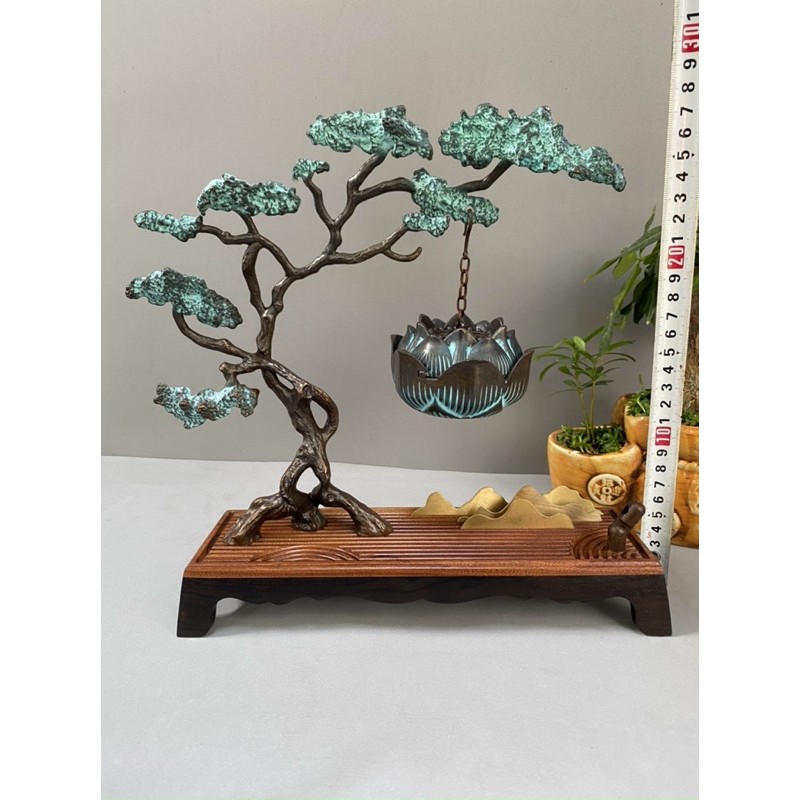 Xông trầm cây tùng