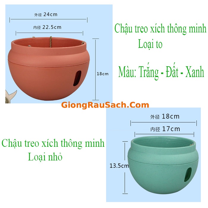 20 Chậu Treo Trồng Cây Thông Minh Size Bé, To