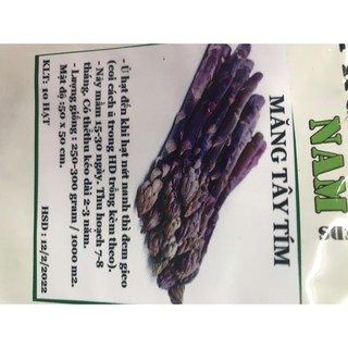 10 Hạt giống Măng Tây Tím- Cây cảnh và cây ăn trái xinh xắn cho góc rau sạch nhà bạn