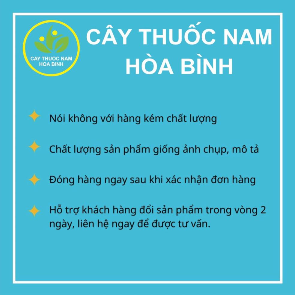 [NGUYÊN CHẤT] 1kg củ đinh lăng khô sạch (rễ thái nát)