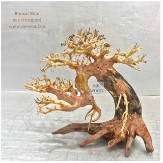 LŨA BONSAI CHO HỒ THỦY SINH SIZE NHỎ