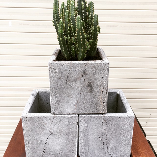 Chậu treo tường trồng cây hình vuông KT 10cm bằng đá tự nhiên, chậu trồng cây mini