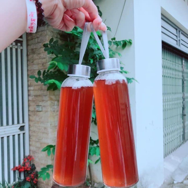 [ PHÒNG UNG THƯ ] Bình Thủy Tinh 500ml có nắp và dây treo - Tặng Miễn Phí khi mua Saffron Salam