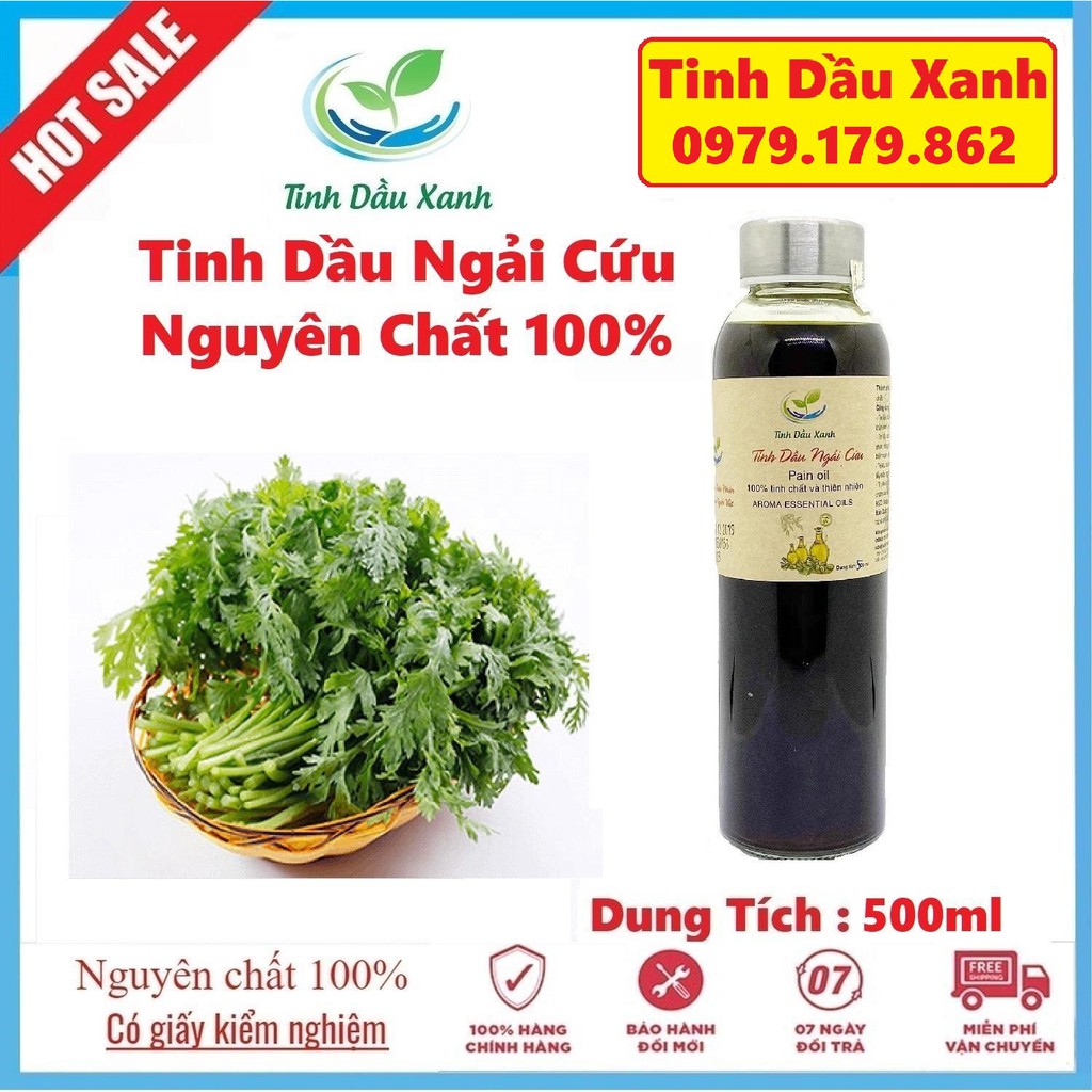 Tinh Dầu Ngải Cứu Nguyên Chất 500ml - Giúp giảm đau nhức xương khớp, giải cảm, giảm stress, thư giãn