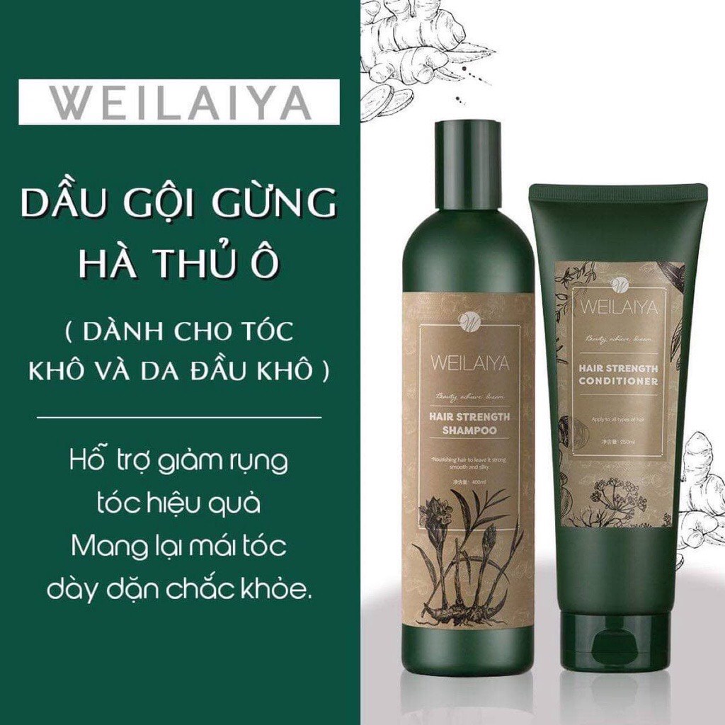 Cặp Dầu Gội Xả Gừng Weilaiya Ginger