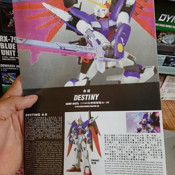 Mô Hình Lắp Ráp Gundam Destiny Hg 1/144