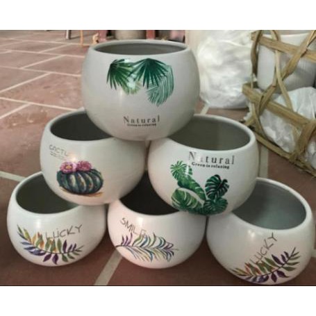 Chậu sứ hạt dẻ nhỏ in hình |FREESHIP  SIÊU XINH | LỖI 1 ĐỔI 1