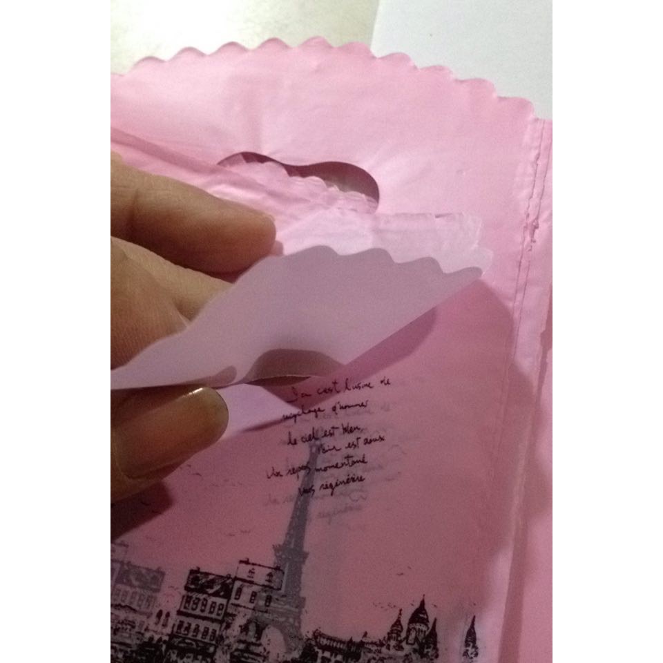 Túi đựng son size 9x15: 20k/xấp