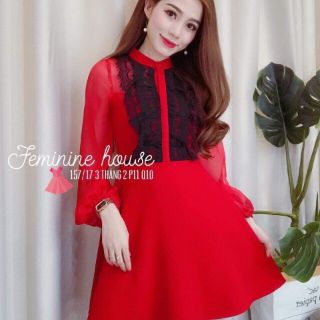 Đầm xòe tay dài phối lưới