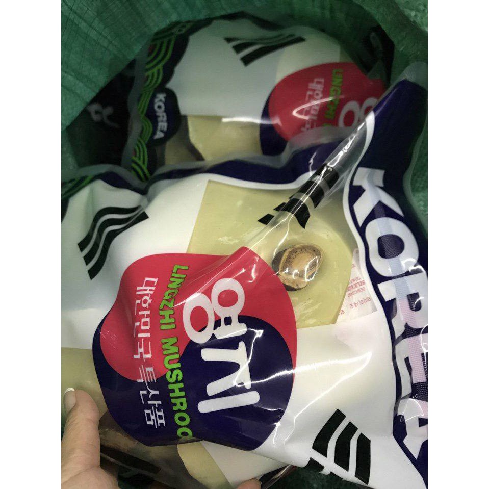 Siêu khuyến mại: 1 kg Nấm linh chi vàng chanh thượng hạng Hàn Quốc | BigBuy360 - bigbuy360.vn