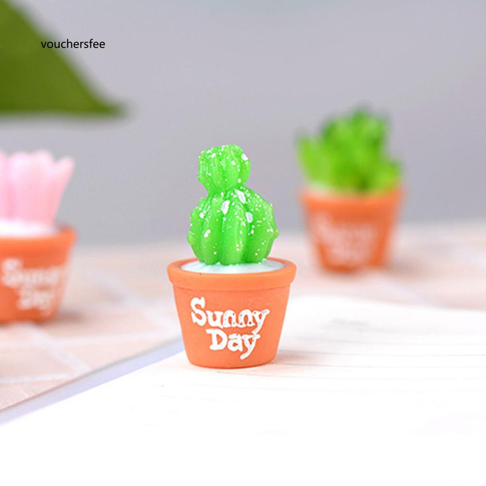 Set 2 mô hình cây xương rồng mini bằng nhựa dùng để trang trí tiểu cảnh