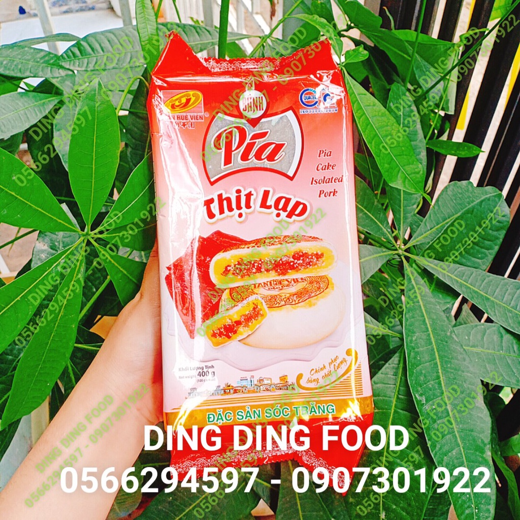 Bánh Pía Thịt Lạp 400g [4 BÁNH] Tân Huê Viên| Pía Mặn| Đặc Sản Sóc Trăng| Pía Đậu Xanh Thịt Lạp - DING DING FOOD