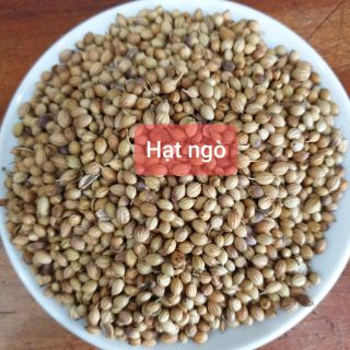 HẠT NGÒ # HẠT MÙI LÀM GIA VỊ# KLT GÓI 100GR # HSD 24 THÁNG