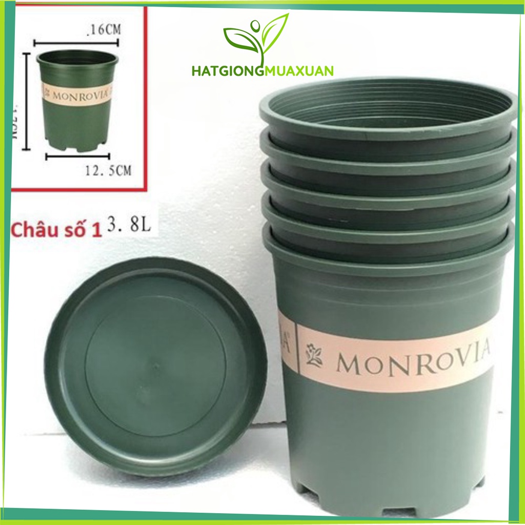 Chậu Monrovia Số 1 (1Gl) 16X17Cm Tặng Kèm Đĩa Lót - Hàng Đẹp Tq