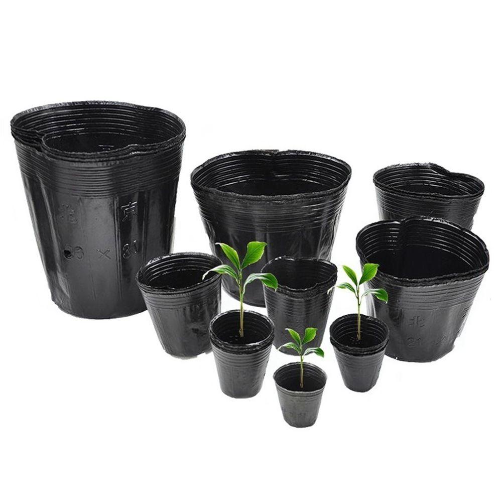 Hộp Gieo Hạt Trồng Cây Thiết Kế Thoáng Khí Tiện Dụng