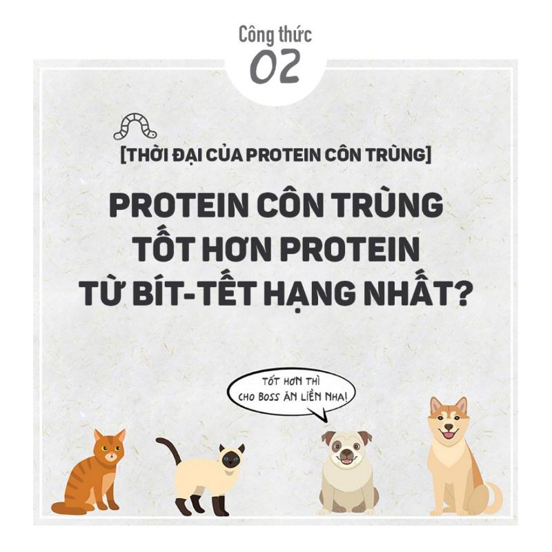 80G THỊT VỊT CUỘN THANH SỮA được làm từ thịt thật và sữa, chứa nhiều vitamin và khoáng chất,hỗ trợ việc huấn luyện chó