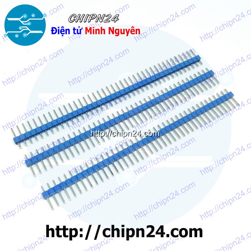 [3 CÂY] (TK1.2) Header Hàng rào Đực Đơn Thẳng 1x40p XANH DƯƠNG 2.54MM