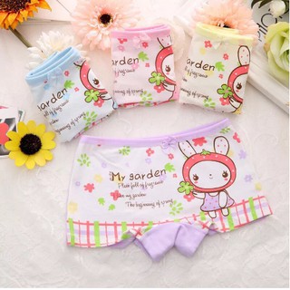 Set 4 quần chip đùi cotton mẫu hello kitty cho bé