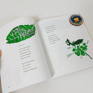 Sách - Góc sân và khoảng trời (KĐ-Montyclub)