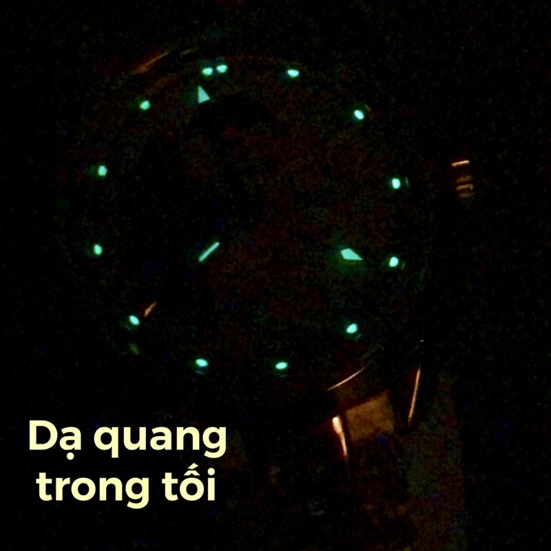 Đồng Hồ Nam Cơ Tự Động TEVISE 795A Dây Da Chính Hãng Cao Cấp