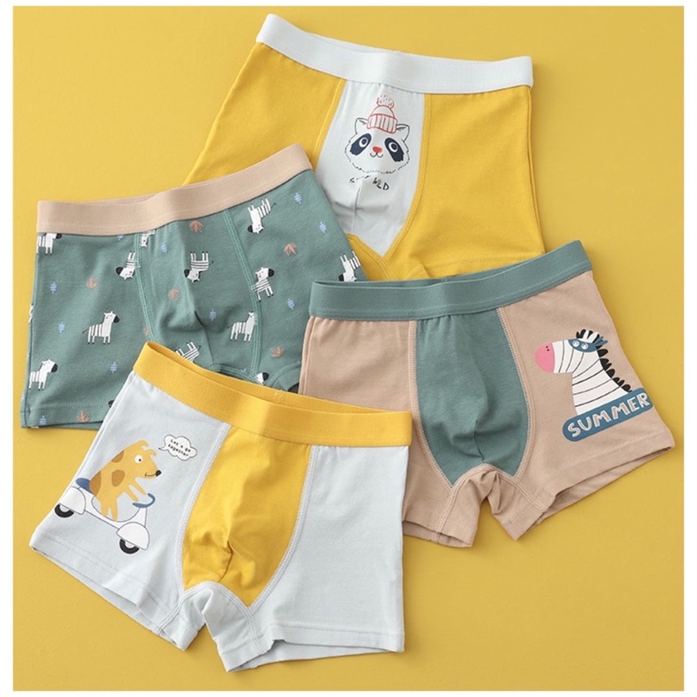 Combo 4 chiếc quần sịp đùi cho bé trai cotton từ 6-16 tuổi